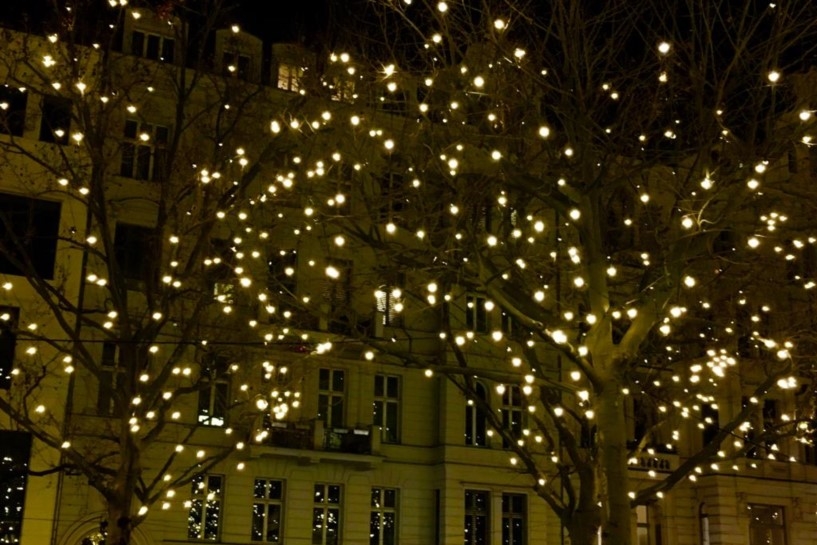 Lichterketten auf Bäumen