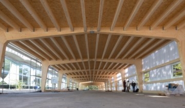Unterperspektive auf die Holzkonstruktion des Daches